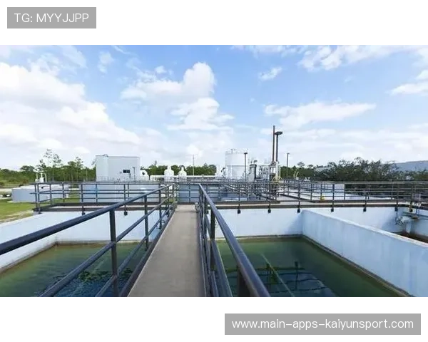 资深城市污水处理专家的控流：他是如何通过微生物生态平衡降解污水的